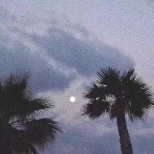 08陈冠希未删减版资源
