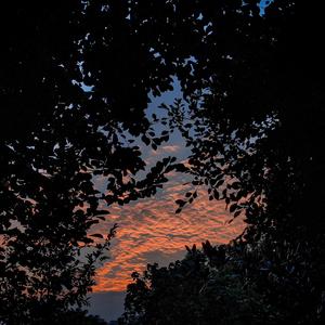 08陈冠希未删减版资源
