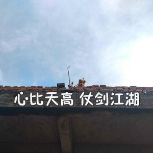 08陈冠希未删减版资源
